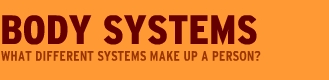 brainpop body systems