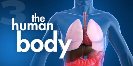 study jams human body