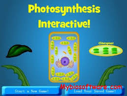 Bioman Photosynthesis