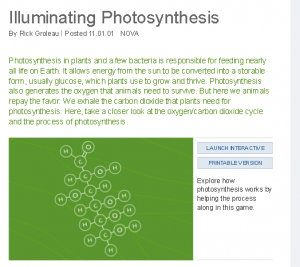 FireShot-Pro-Screen-Capture-041-NOVA-I-Illuminating-Photosynthesis-www_pbs_org_wgbh_nova_nature_photosynthesis_html1-300x267