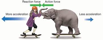 cpo science newtons laws