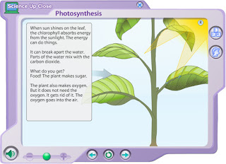 plants photosyn