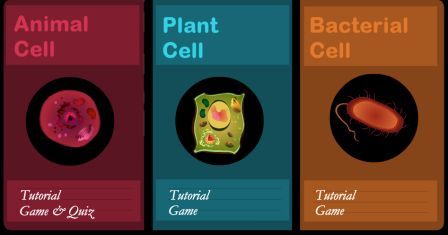 Planet or Animal cell?