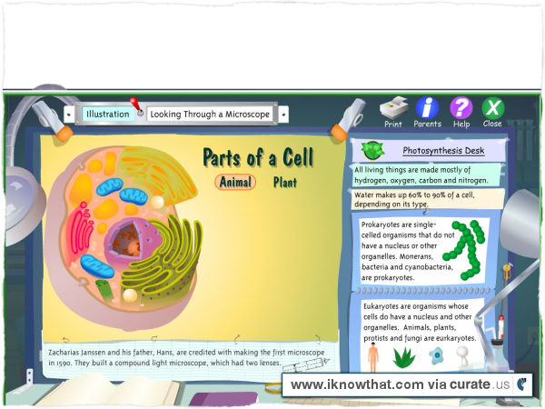 I Know That….cells