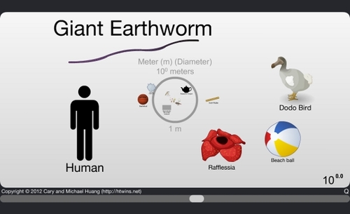 Super Scale of the Universe (and cells!)