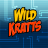 Wild Kratts-Hermit Crabs!