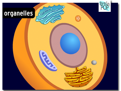 Cells…brought to you by BrainPop & Study Jams
