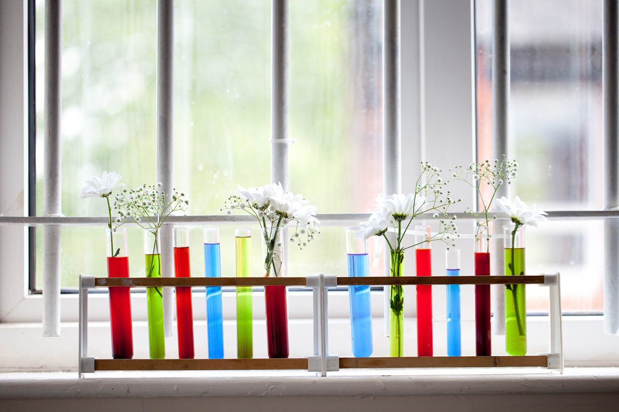 Spring Science Project