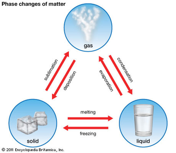Science 8 Review-States & Phases of Matter