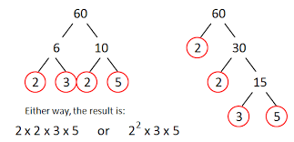 Student Notes-Prime Factorization